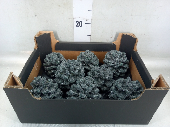 <h4>Decoratieve materialen   ...H%</h4>