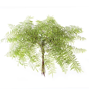 KORAALVAREN GOUD (GOLD)