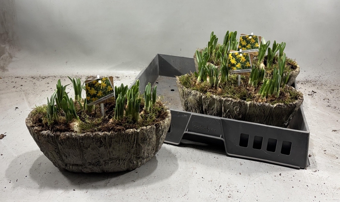 <h4>ARR N TETE A TETE</h4>