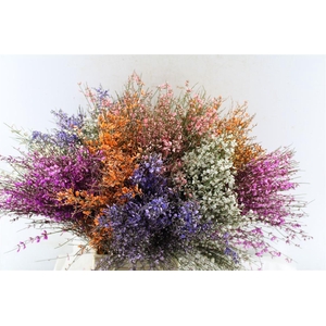 Ginster Mix 400 Gram