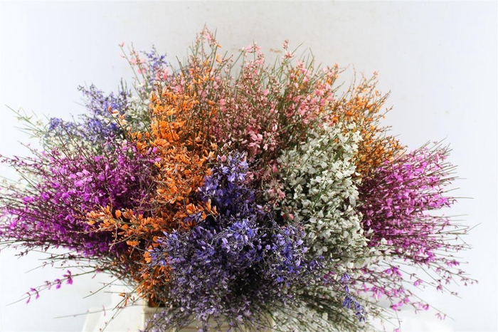 <h4>Ginster Mix 400 Gram</h4>