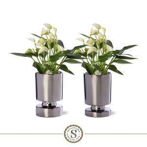 Stockholm Silver Keramiek 9cm White Champion