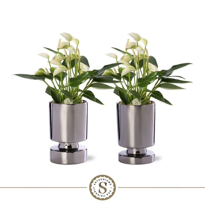 <h4>Stockholm Silver Keramiek 9cm White Champion</h4>