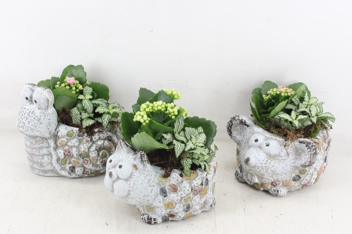 <h4>arr2 TD - Dierenmix - roze/wit</h4>