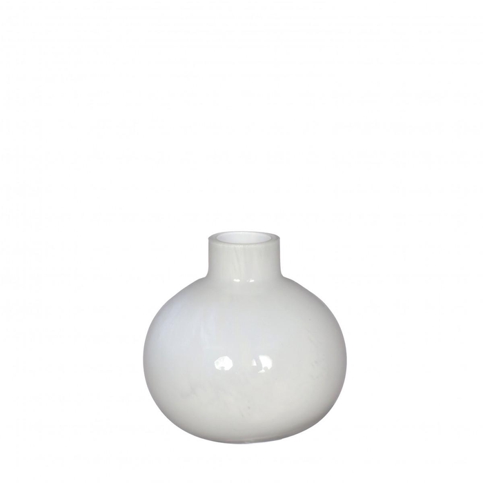 <h4>Glas Vaas Rose d2/13*13cm</h4>