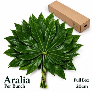 FATSIA JAPONICA BLAD