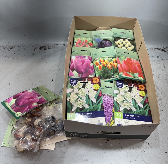 <h4>BLOEMBOL OV</h4>