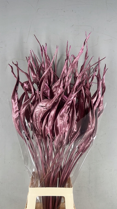 <h4>DF Strelitzia Leaf Antiq. Pink</h4>