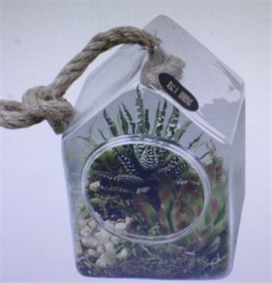 <h4>2705 HANG HUISJE SUCC</h4>