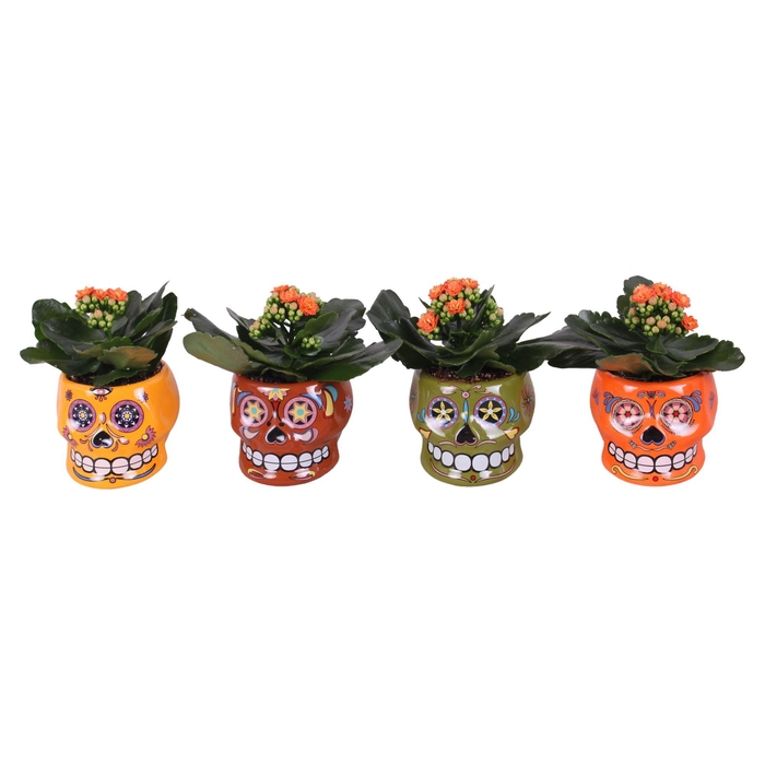 <h4>Halloween Arr. Indoor Ceramic 'Dia De Los Muertos' Ø11cm 1PP</h4>