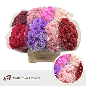 Chr T Altaj Love Mix