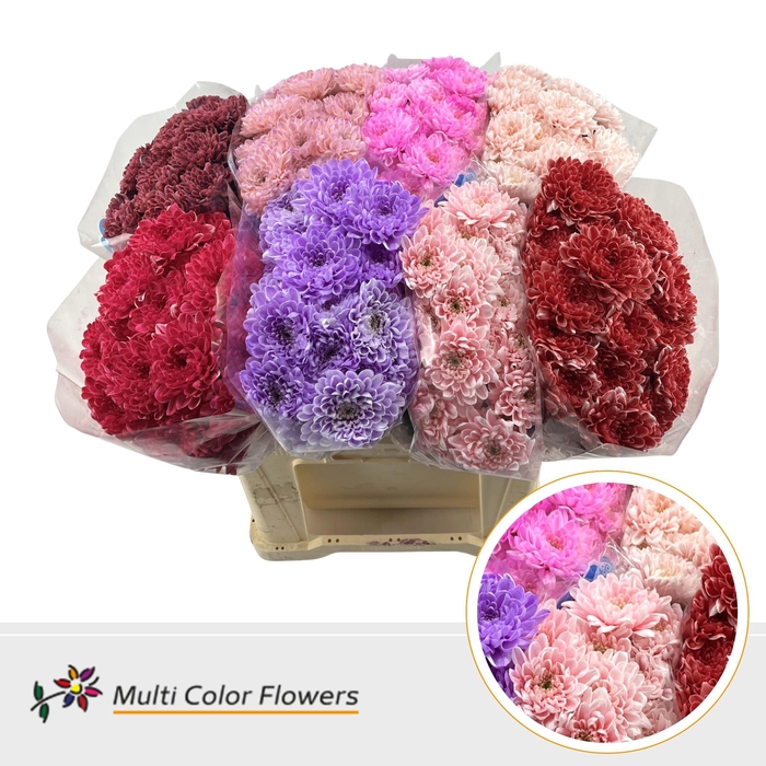 <h4>Chr T Altaj Love Mix</h4>