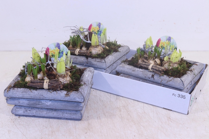 <h4>ARR BOL KNOLGEWAS</h4>