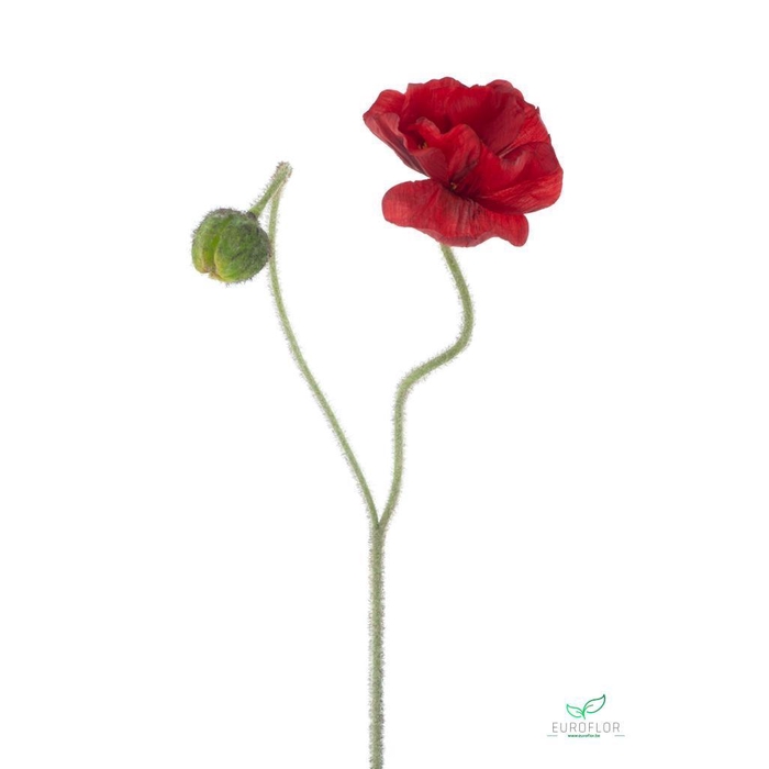 <h4>SILK FLOWERS - POPPY SPRAY ILSE RED 81CM</h4>
