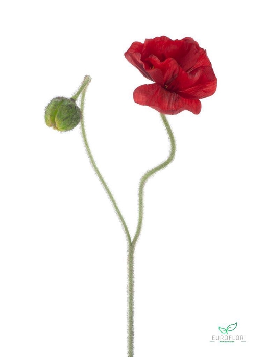 SILK FLOWERS - POPPY SPRAY ILSE RED 81CM