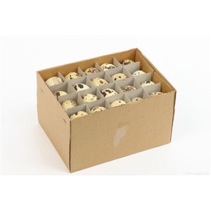 KWARTEL EGG 60 PC