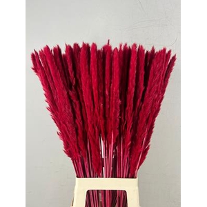 Df Pampas Silvy Bs 10pc Red