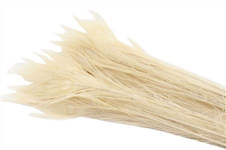 <h4>Feather Peacock Bleached White L85</h4>