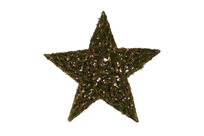 <h4>Festive Star Poplar Moss 70x70x9cm</h4>