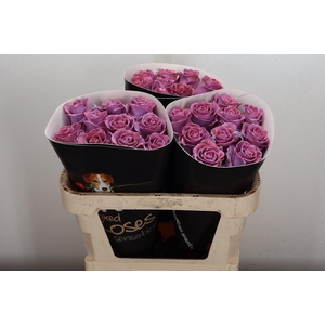 Wax-Rozen Wax Classic Lavender