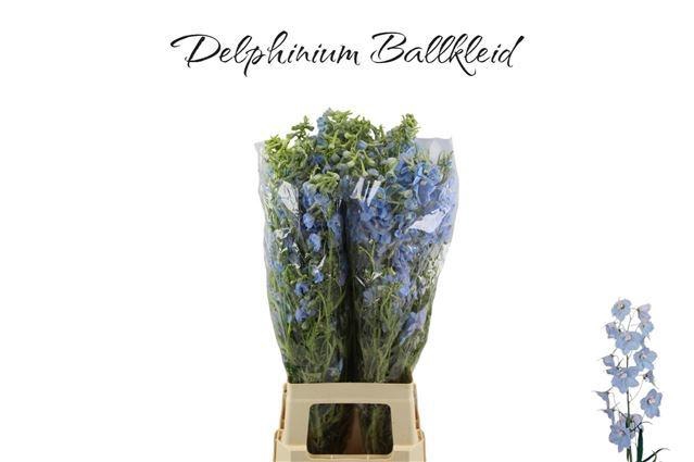 <h4>DELPH EN BALLKLEID</h4>