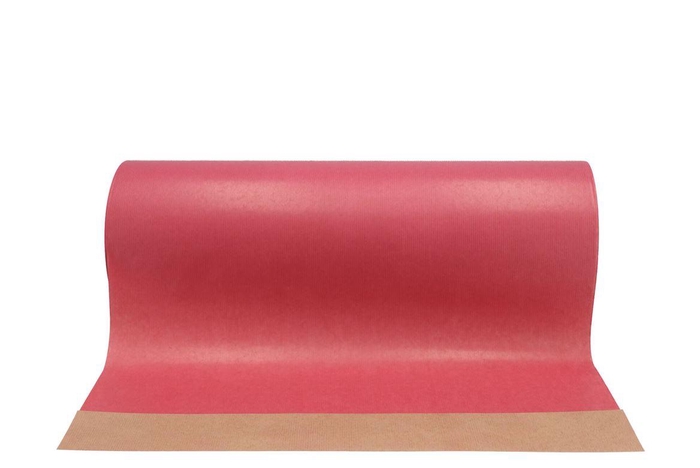 Paper 50cm Brown 10kg Cyclaam