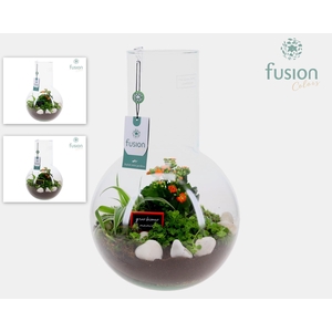 Green Bottle Suzanne Large met Grootmoederdag arrangement