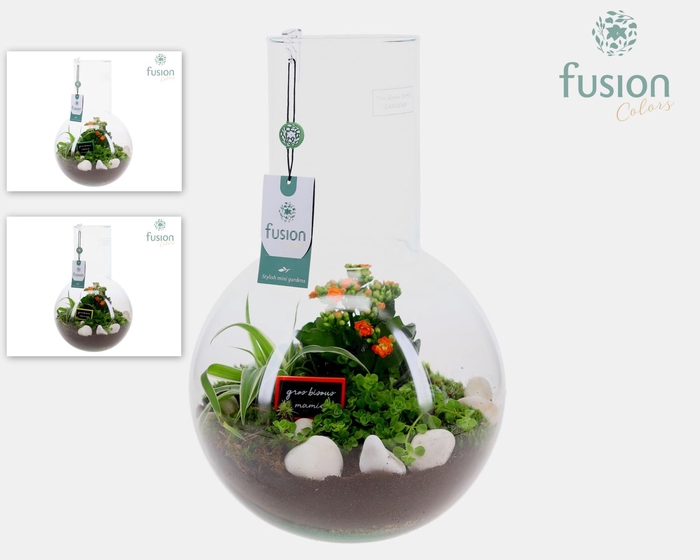 <h4>Green Bottle Suzanne Large met Grootmoederdag arrangement</h4>