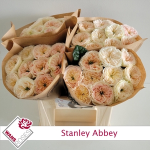 R GR STANLEY ABBEY