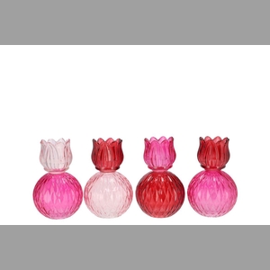 Bicolore Dutch Pink Mix Tulip T-light Ass 11x17cm Nm