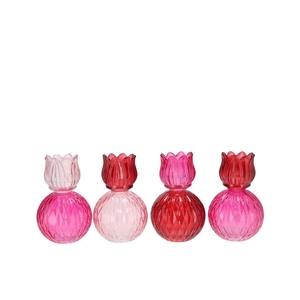 Bicolore Dutch Pink Mix Tulip T-light Ass 11x17cm Nm