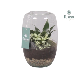 Green Bottle Isabella Medium met Groene Planten