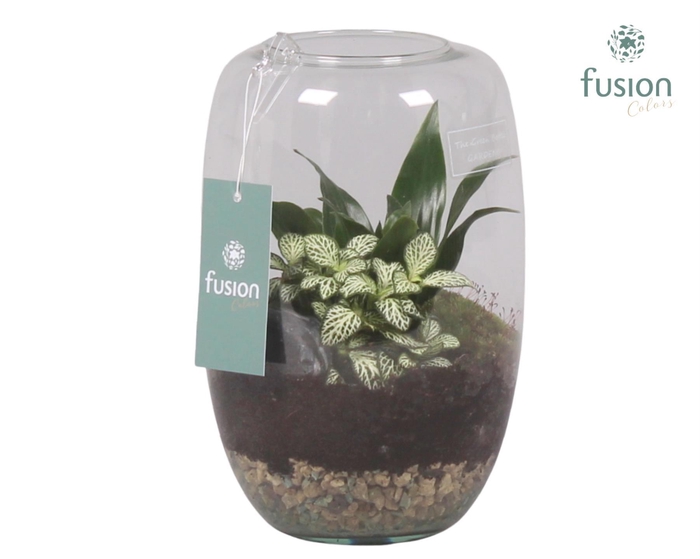 <h4>Green Bottle Isabella Medium met Groene Planten</h4>