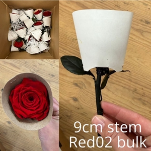 9cm Stem Red02 Bulk