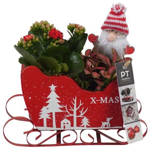 <h4>PTCHR7396 Arrangementen Kerst</h4>