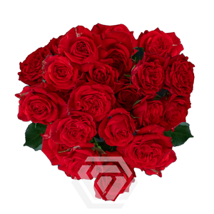 R TR THATS RED JEWEL Tessa