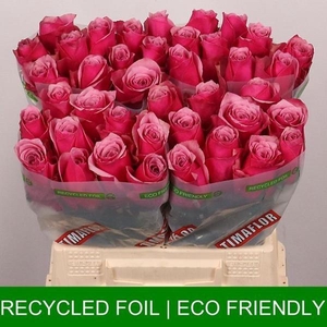 R GR MAJESTIC ATHENA