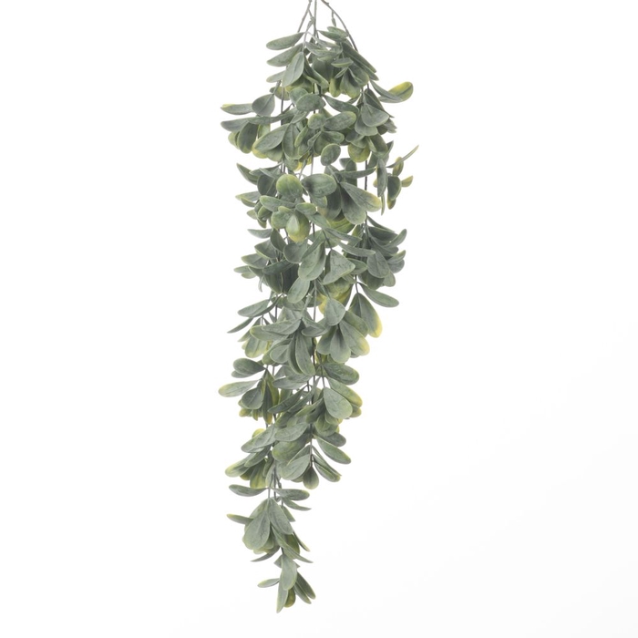 <h4>Af Hang Bush Crassula X5 L75cm</h4>