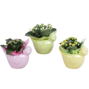 Early Spring Arr. Indoor Ceramic Bird Gr/Pi/Ye Ø18cm 1PP