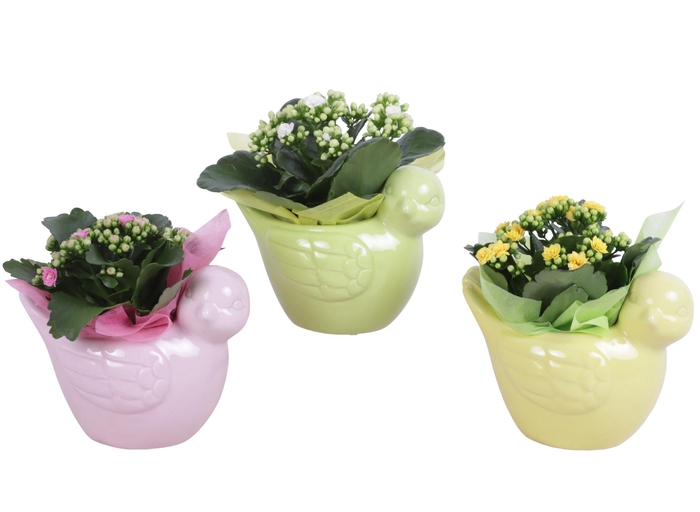 <h4>Early Spring Arr. Indoor Ceramic Bird Gr/Pi/Ye Ø18cm 1PP</h4>