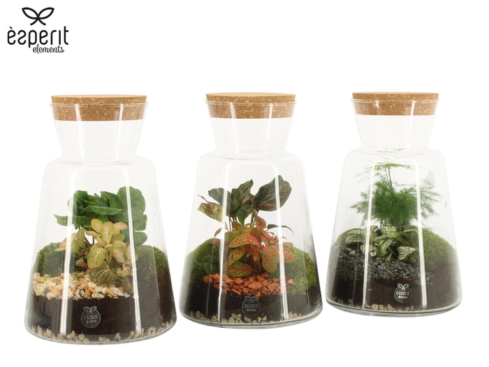 <h4>90895: Terrarium arrangement</h4>