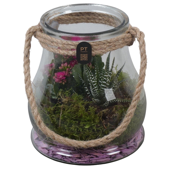 <h4>Arr.    Planten  L%</h4>