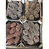 PINE CONE EXTRA