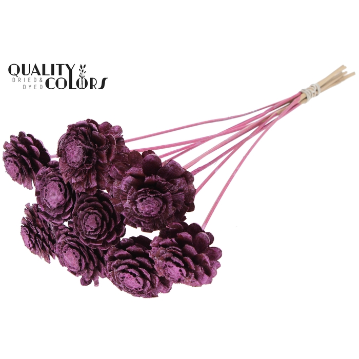 <h4>Pine cone cut 5-7cm on stem Metallic Pink</h4>