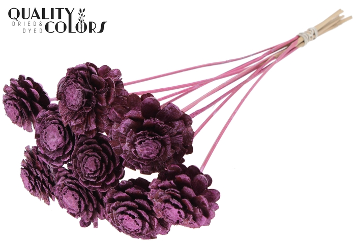 Pine cone cut 5-7cm on stem Metallic Pink