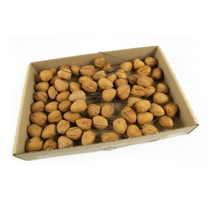 Walnoten o/dr. naturel70 st