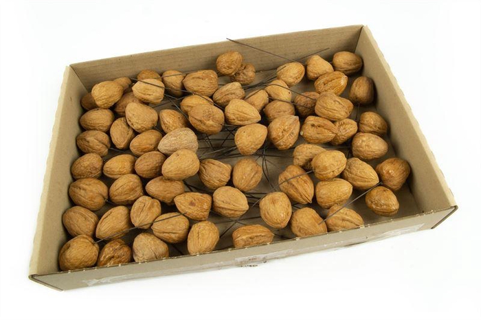 <h4>Walnoten o/dr. naturel70 st</h4>