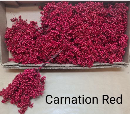 <h4>Pepperberry Red</h4>