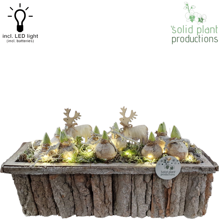 <h4>BRLH001 Bark R Large Grey Hyacint + LED</h4>