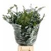 Euc. Mix Per bunch